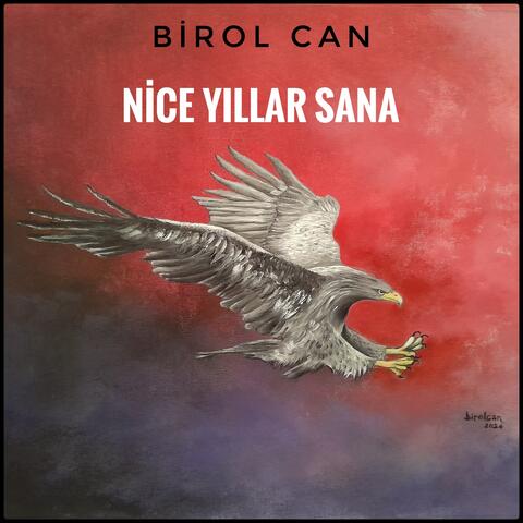 Nice Yıllar Sana