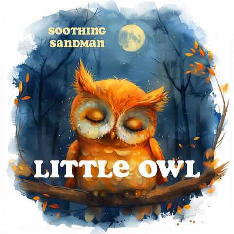 Little Owl