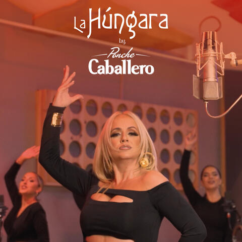 CABALLERO, CABALLERO, PONCHE CABALLERO