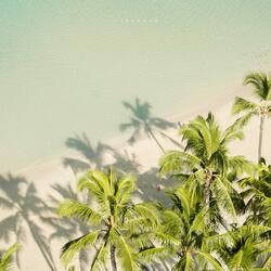 In That Summer Sea