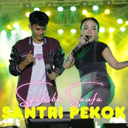 SANTRI PEKOK
