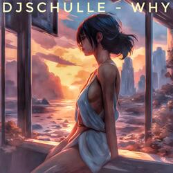DjSchulle - Why