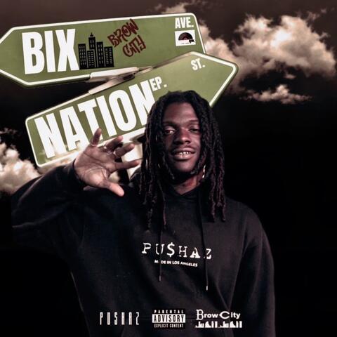 BixNation
