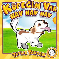 Köpeğim Var Hav Hav Hav