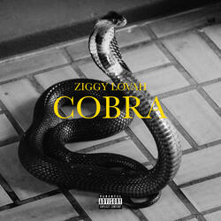 Cobra
