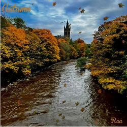 Autumn