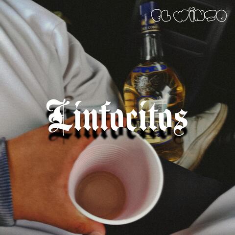 Linfocitos
