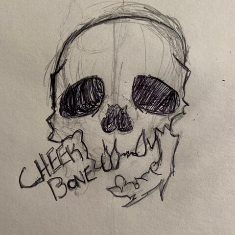 Cheek Bone