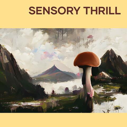 Sensory Thrill