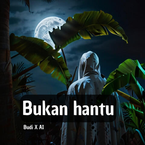Bukan hantu