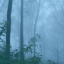 I Still Think About You