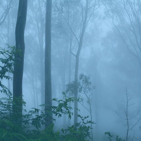 I Still Think About You