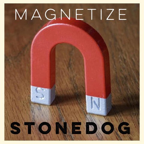 Magnetize