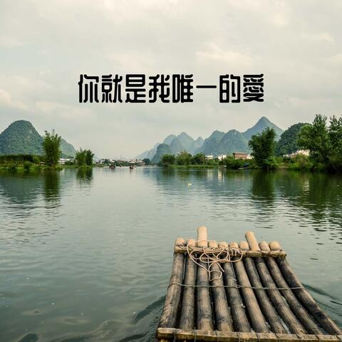 你就是我唯一的愛