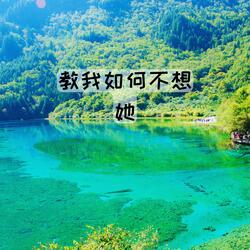 教我如何不想她