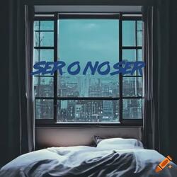 SER o no SER