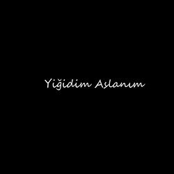 Yiğidim Aslanım