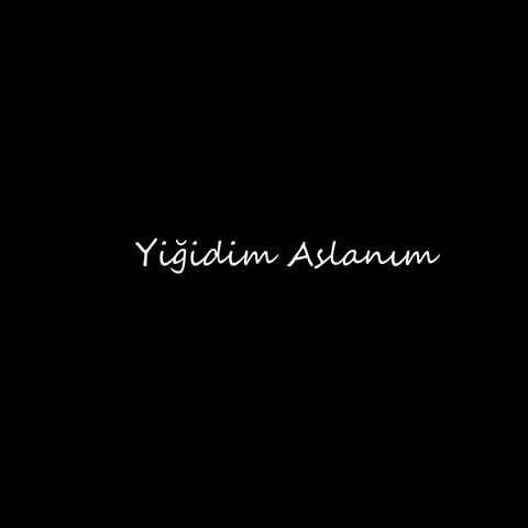 Yiğidim Aslanım