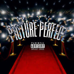 Picture Perfect
