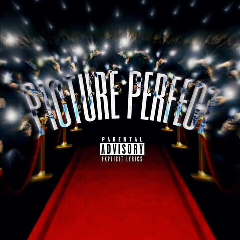 Picture Perfect