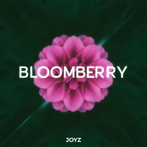 BloomBerry
