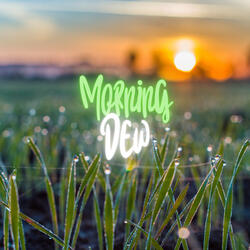 Morning Dew