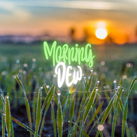Morning Dew