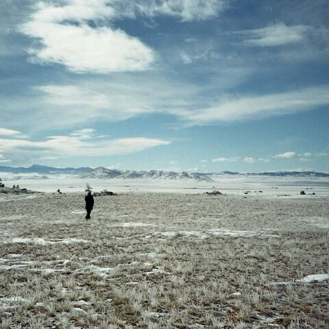 with the wind