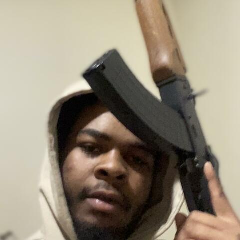 HIGH FASHION ASSASSIN