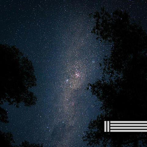 Natural Night Sounds