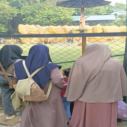 Miss Mom