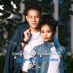 A Lwan Pone Pyin
