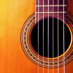 Bright Acoustic Guitar in the Gentle Wind