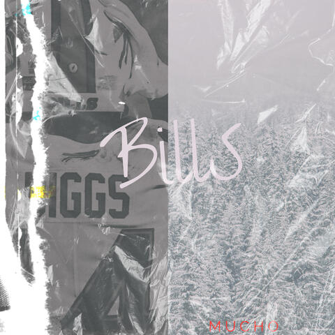 Bills