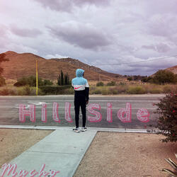 Hillside