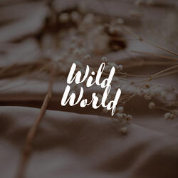 Wild World