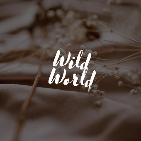 Wild World