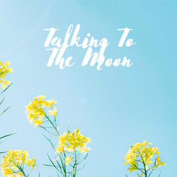 Talking To The Moon