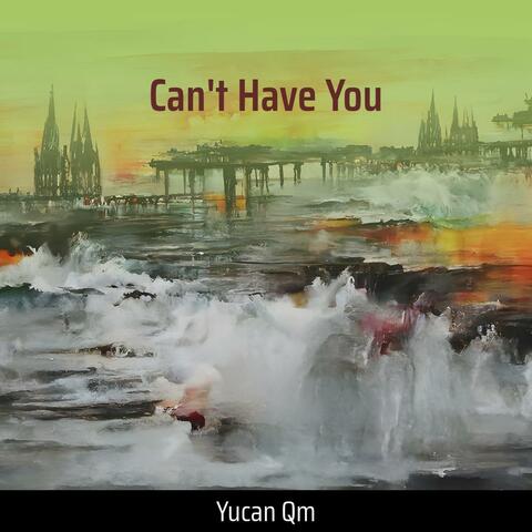 Can't Have You