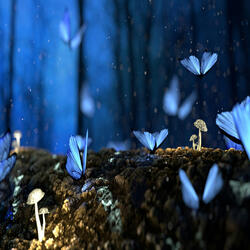 ASMR Beautiful Wave Sound