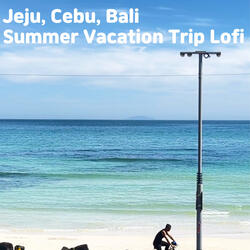 Jeju, Cebu, Bali Summer Vacation Trip Lofi 15
