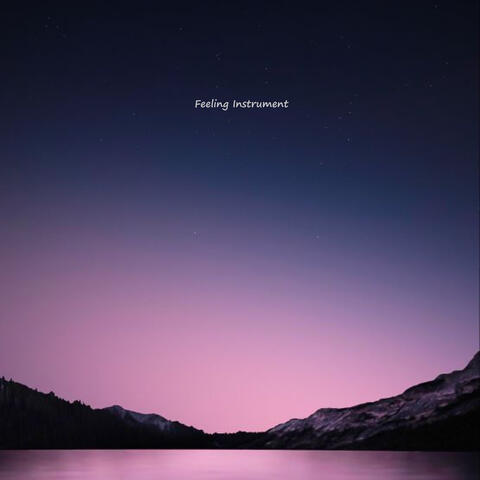 Feeling Instrument