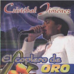 Preguntas Pa Un Coplero