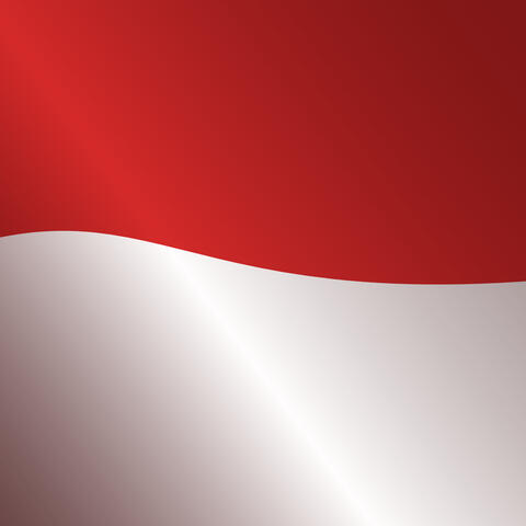 Garuda Muda Indonesia