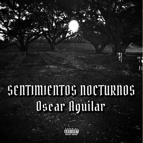 SENTIMIENTOS NOCTURNOS