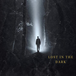 Lost in the dark