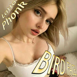 Bird Face
