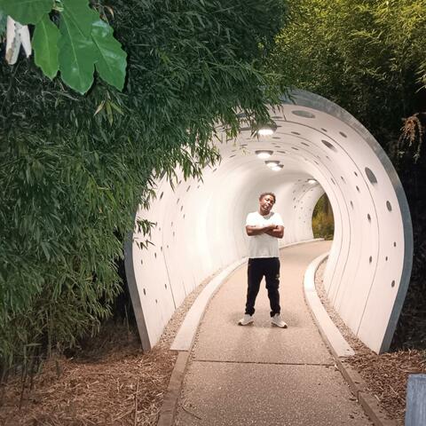 A Never Look