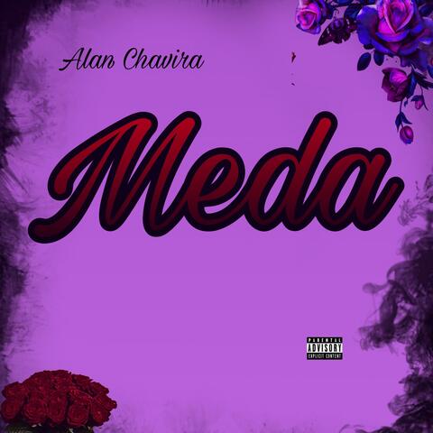 MEDA