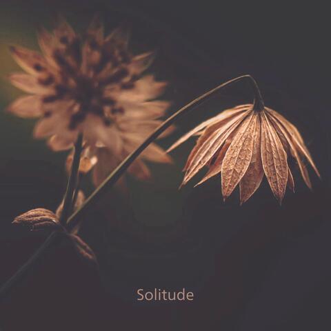 Solitude